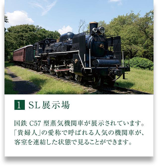 小金井公園近接 公式 シティハウス小金井公園 小金井の新築マンション 住友不動産