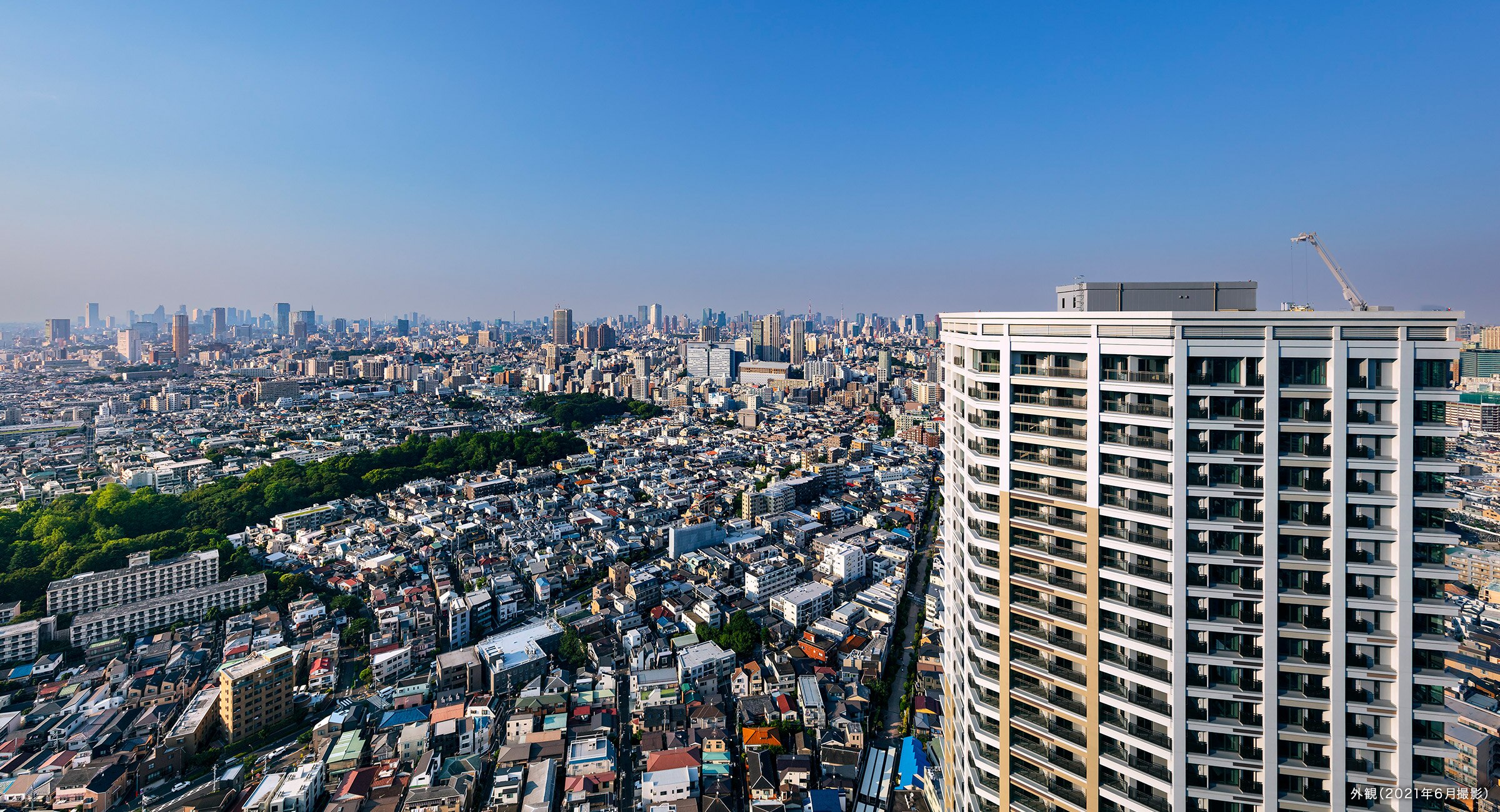 外観デザイン デザイン 公式 シティタワー武蔵小山 東京都品川区 東急目黒線 武蔵小山 駅徒歩2分の分譲マンション 住友不動産