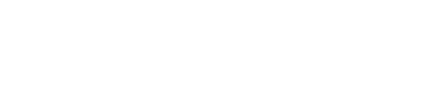 1958N̍\zǍʎvɑΏ邽߁A݂̒nɂȂnEn2w̗̃vv悵A򐅏̐Ւn𒆐SƂ960,000u̍LȓynŎn܂VhsSvB̌A1970Nォ͑Xƒwr݂A1991Nɂ͓s̐VɂBȍ~As̓ss@\Sw̃rWlXXƂĔW𐋂܂BāAJ̗jI𒴂݁AX̃IAVXłVhĐȂǁAĂѓoVh̊X݁BVȍĊJvƂƂɁAȂi҂Ă܂B