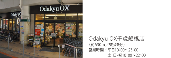 Odakyu OXΑDXi630m^k8jcƎԁ^10F00`23F00 yEEj10F00`22F00
