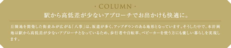 COLUMU w獂፷ȂAv[`łoKɁBu˒nJX݂Luv́A⓹AAbv_Ên`ƂȂĂ܂BŁA{vn͉w獂፷ȂAv[`ƂȂĂ邽߁As҂⎩]ԁAxr[J[gɂD炵܂B